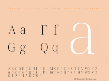 notoserifdisplay nerd font mono字体家族|notoserifdisplay nerd