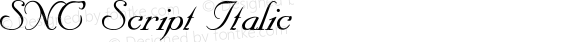 SNC Script Italic