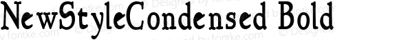 NewStyleCondensed Bold