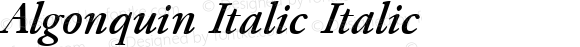 Algonquin Italic Italic Unknown