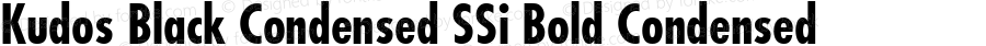 Kudos Black Condensed SSi Bold Condensed