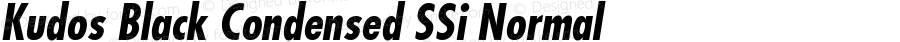 Kudos Black Condensed SSi Normal