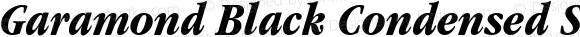 Garamond Black Condensed SSi Bold Condensed Italic