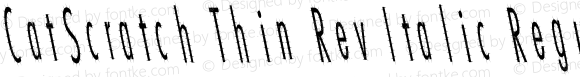 CatScratch Thin Rev Italic Regular