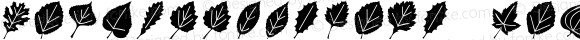 LeafAssortment Regular Macromedia Fontographer 4.1 3/09/00