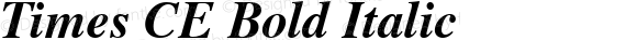 Times CE Bold Italic