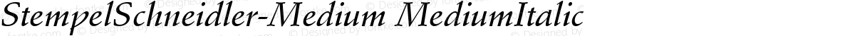 StempelSchneidler-Medium MediumItalic