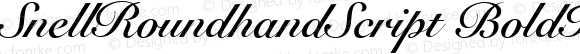 SnellRoundhandScript BoldItalic