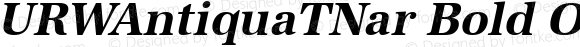 URWAntiquaTNar Bold Oblique