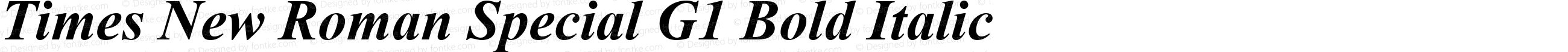 Times New Roman Special G1 Bold Italic