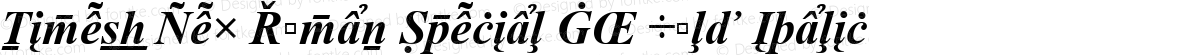 Times New Roman Special G2 Bold Italic