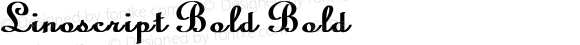 Linoscript Bold Bold
