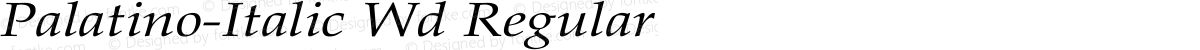 Palatino-Italic Wd Regular