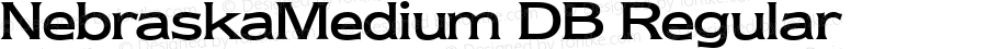 NebraskaMedium DB Regular 1.0 Fri Nov 03 12:40:40 1995