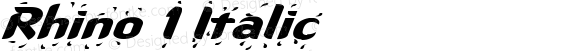 Rhino 1 Italic