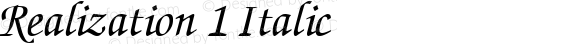 Realization 1 Italic