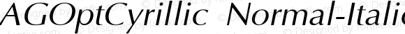 AGOptCyrillic Normal-Italic
