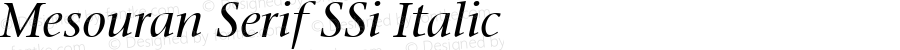 Mesouran Serif SSi Italic