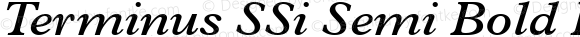 Terminus SSi Semi Bold Italic