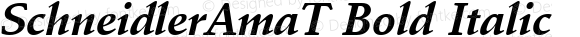 SchneidlerAmaT Bold Italic