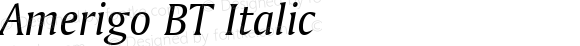 Amerigo Italic BT