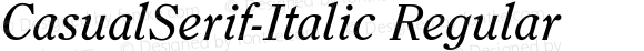 CasualSerif-Italic