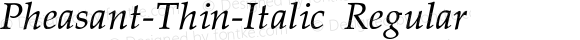 Pheasant-Thin-Italic Regular