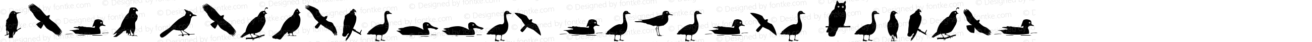 Bird Silhouettes reverse Regular