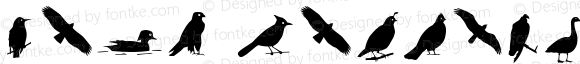 Bird Silhouettes reverse Regular