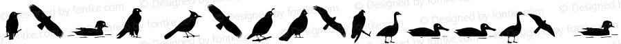 Bird Silhouettes reverse Regular