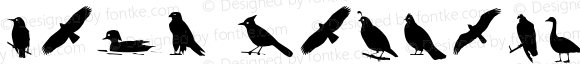 Bird Silhouettes