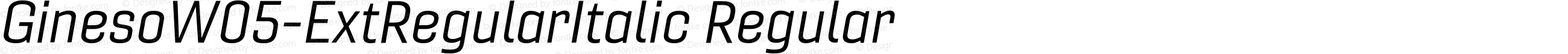 Gineso W05 Ext Regular Italic