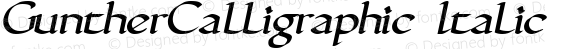 GuntherCalligraphic Italic