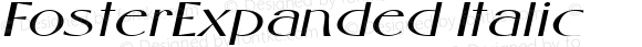 FosterExpanded Italic