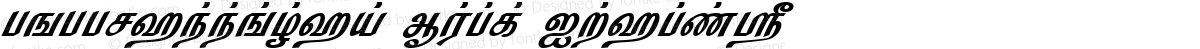 TM-TTNakkeran Bold Italic
