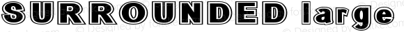 SURROUNDED large Regular 2001; 2.32768