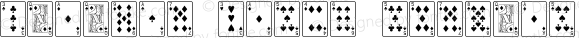 Playing Cards Regular