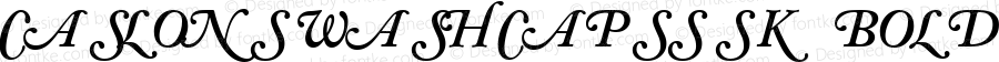 CaslonSwashCapsSSK Bold Italic