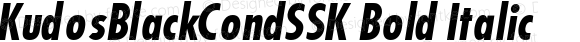 KudosBlackCondSSK Bold Italic