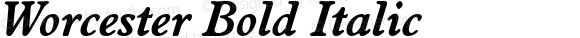 Worcester Bold Italic