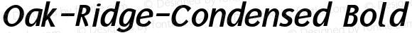 Oak-Ridge-Condensed Bold Italic 1.0 Wed Mar 13 15:07:00 1996