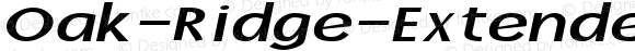 Oak-Ridge-Extended Bold Italic 1.0 Thu Mar 14 09:49:45 1996