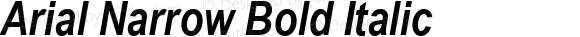 Arial Narrow Bold Italic Version 1.3 (Hewlett-Packard)