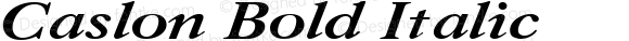 Caslon Bold Italic:001.001