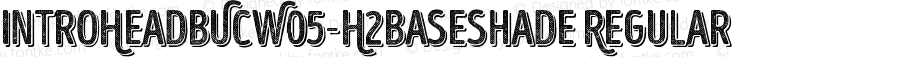 IntroHeadBUCW05-H2BaseShade Regular Version 1.00