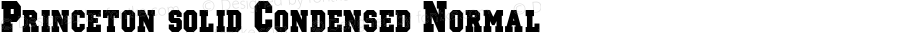 Princeton solid Condensed Normal 1.0 Wed Jul 28 18:57:06 1993