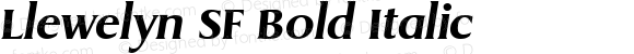 Llewelyn SF Bold Italic