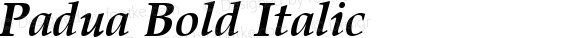 Padua Bold Italic