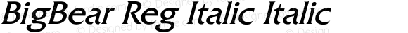 BigBear Reg Italic Italic