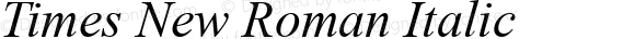 Times New Roman Italic